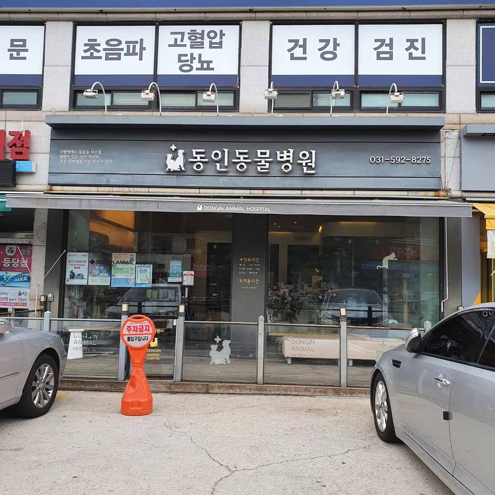 동인동물병원 대표 이미지