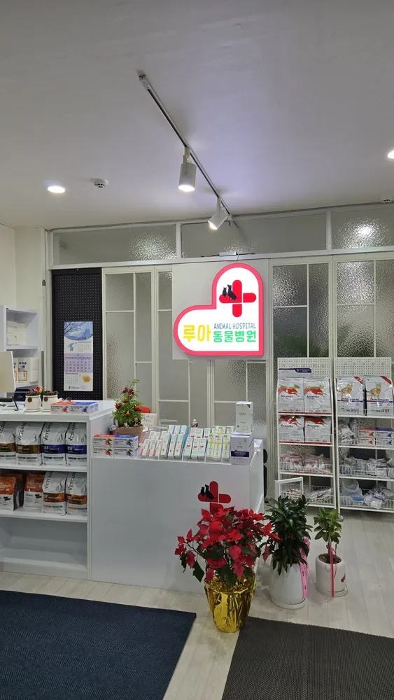 닥터루아동물병원 대표 이미지