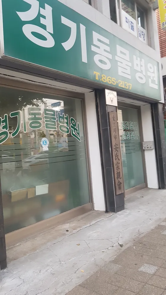 경기동물병원 대표 이미지
