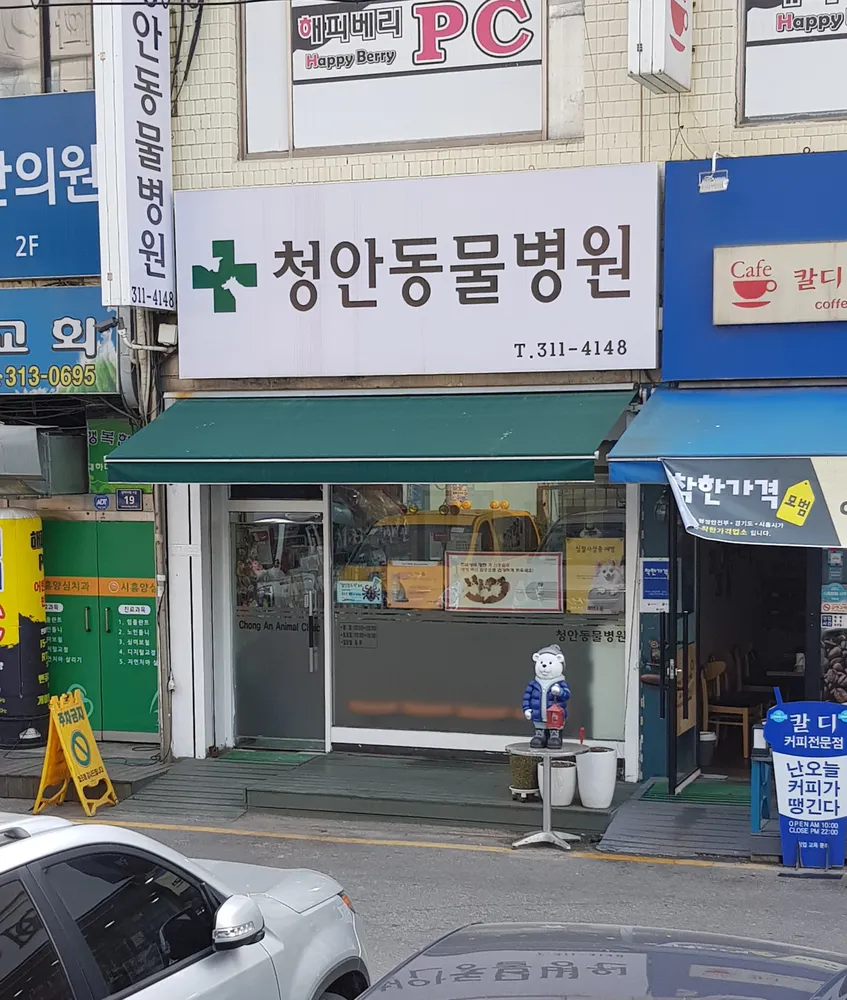 청안동물병원 대표 이미지