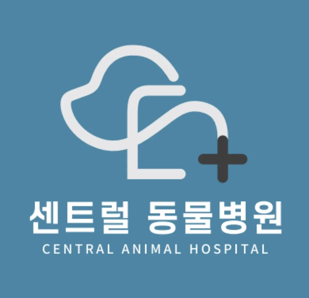 양주센트럴동물병원 대표 이미지