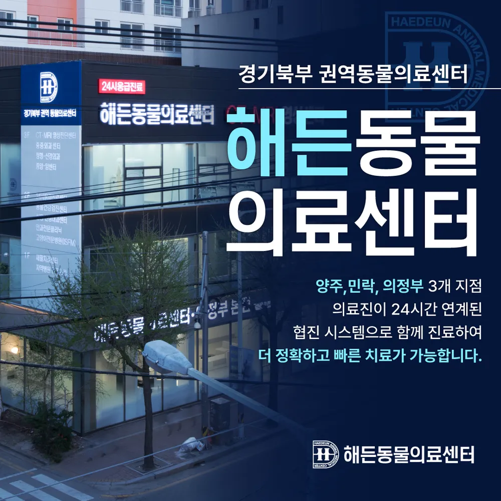 24시해든동물의료센터 대표 이미지