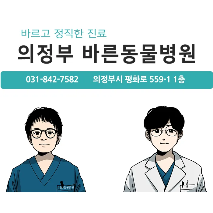 바른동물병원 대표 이미지