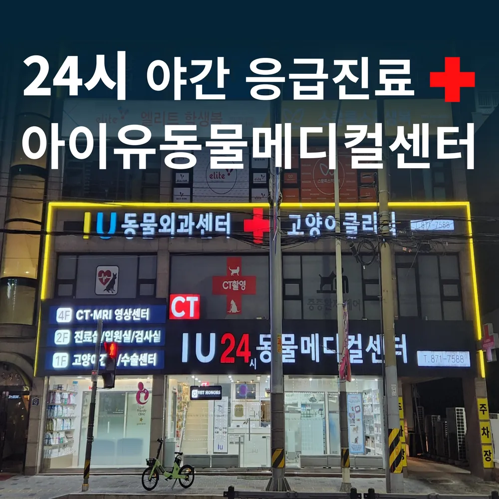 의정부24시아이유동물메디컬센터 대표 이미지