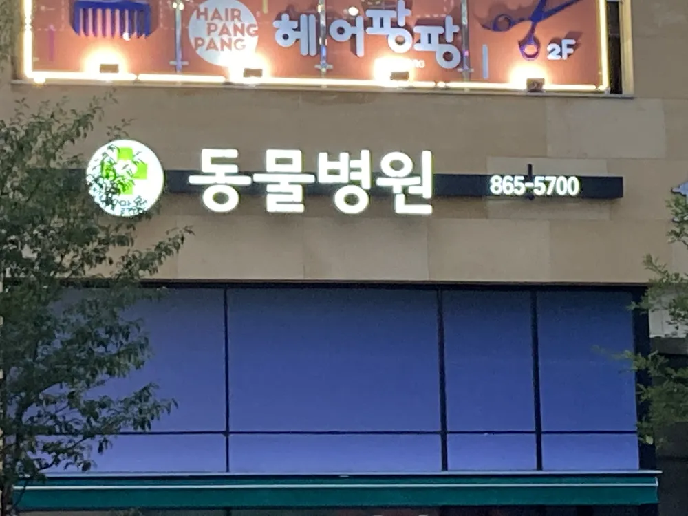 해맑은동물병원 대표 이미지