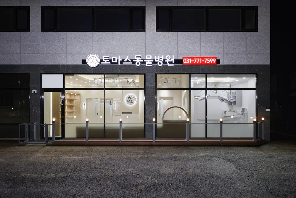 토마스동물병원 대표 이미지