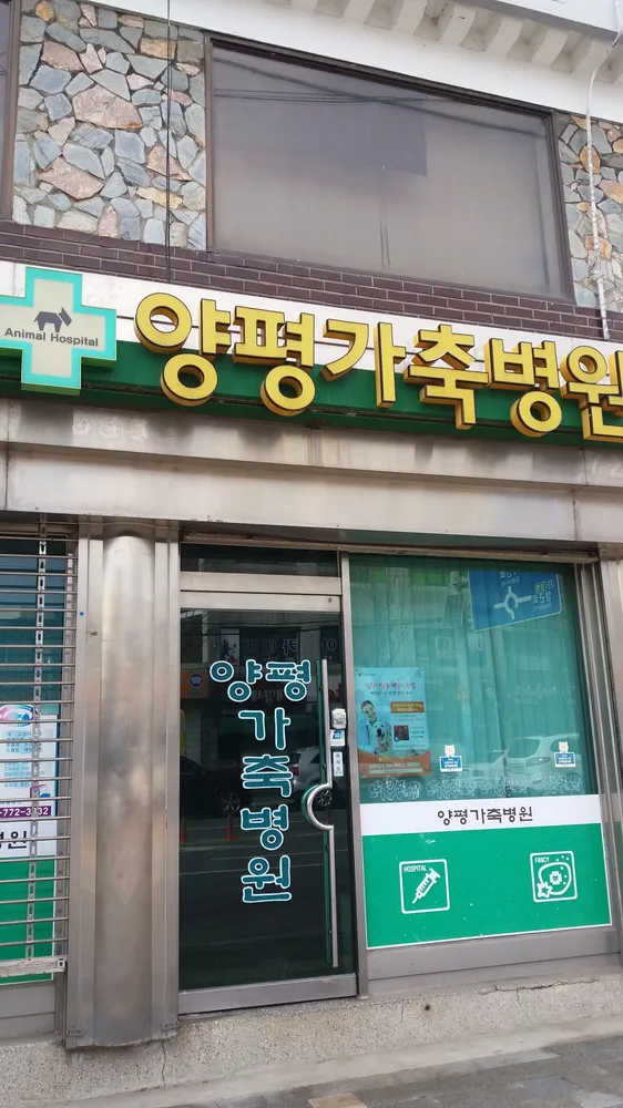 양평가축병원 대표 이미지