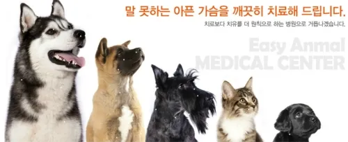 우람동물병원 대표 이미지