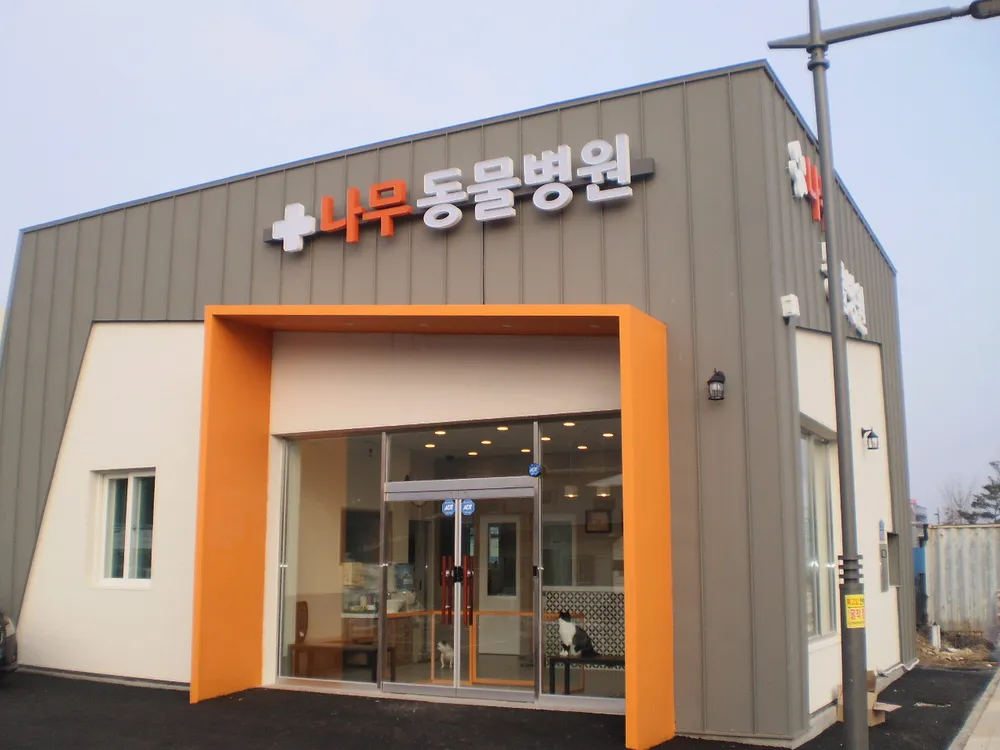 나무동물병원 대표 이미지