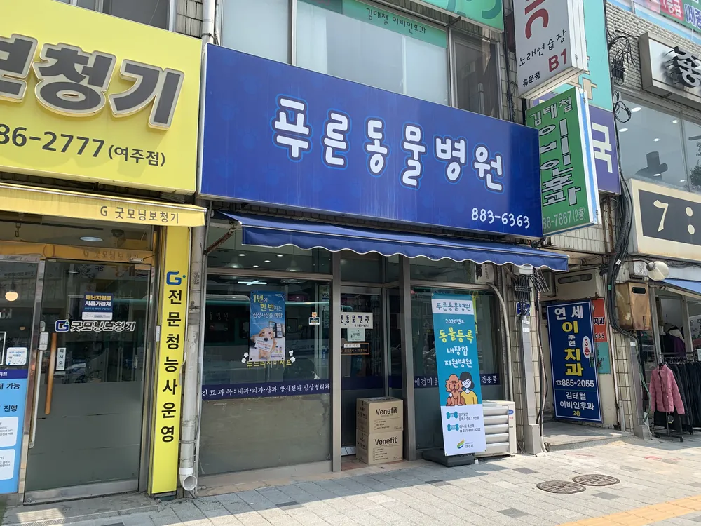 푸른동물병원 대표 이미지