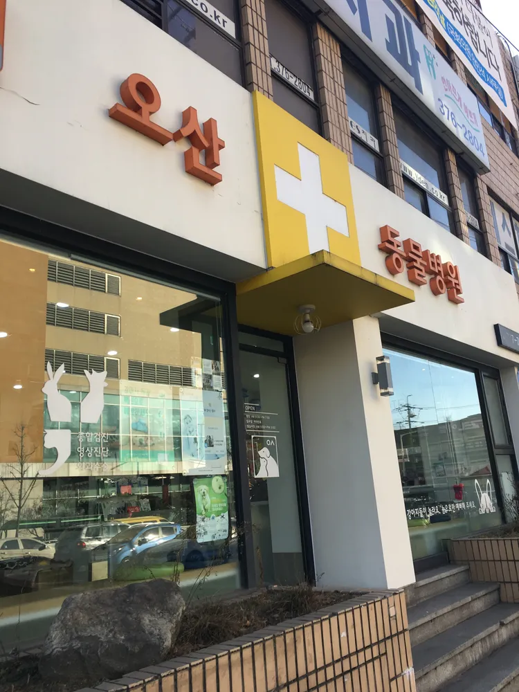 오산동물병원 대표 이미지