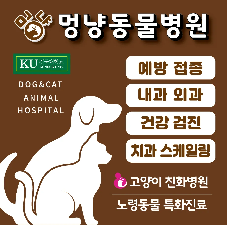 멍냥동물병원 대표 이미지
