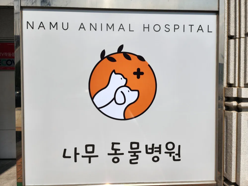 나무동물병원 대표 이미지