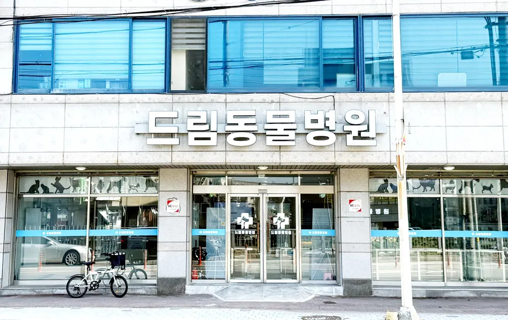 드림동물병원 대표 이미지