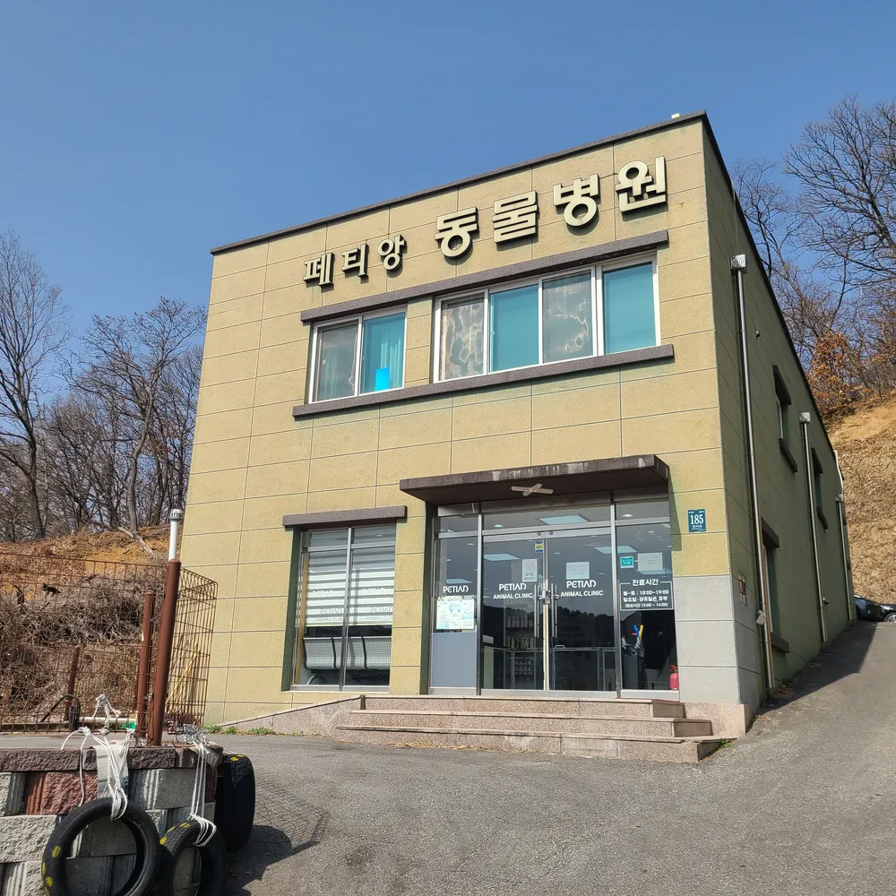 닥터페티앙동물병원 대표 이미지