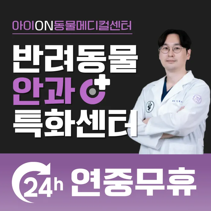 용인24시 아이온동물메디컬센터 대표 이미지