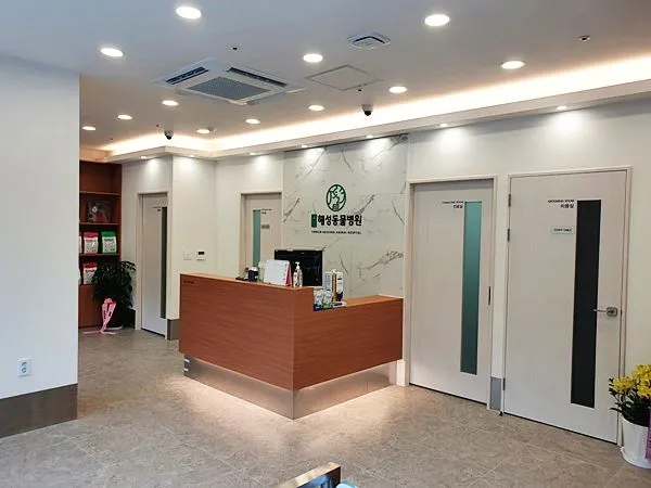용인해성동물병원 대표 이미지