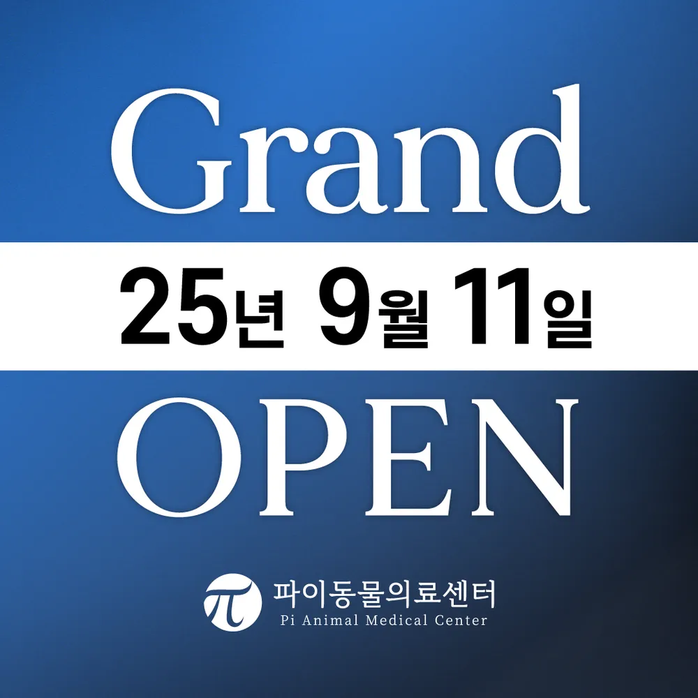 파이동물의료센터 대표 이미지