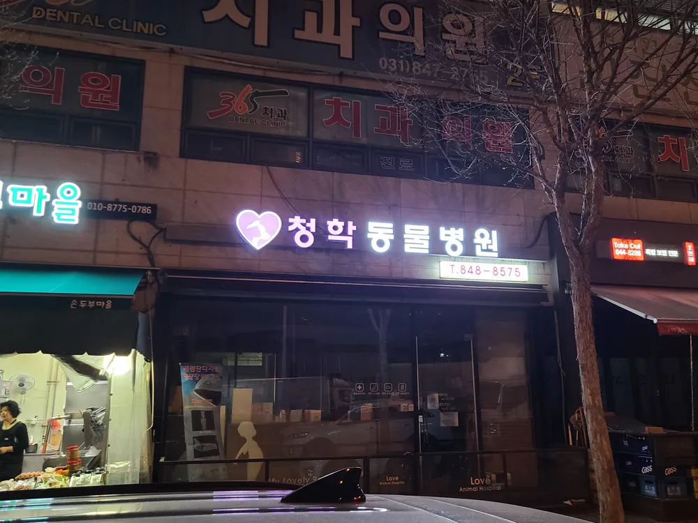 청학동물병원 대표 이미지