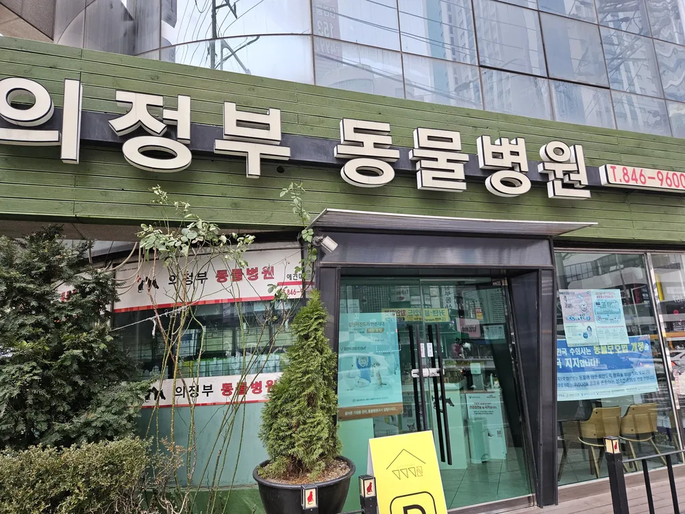 의정부종합동물병원 대표 이미지