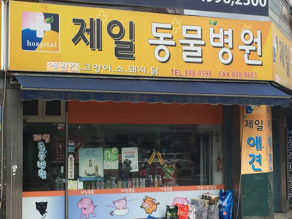 제일동물병원 대표 이미지