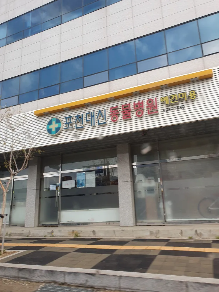 포천대신동물병원 대표 이미지