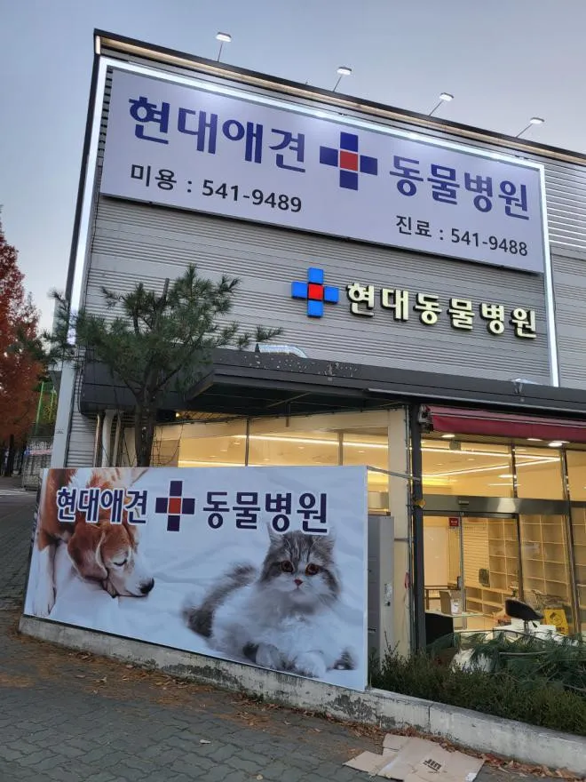 현대동물병원 대표 이미지