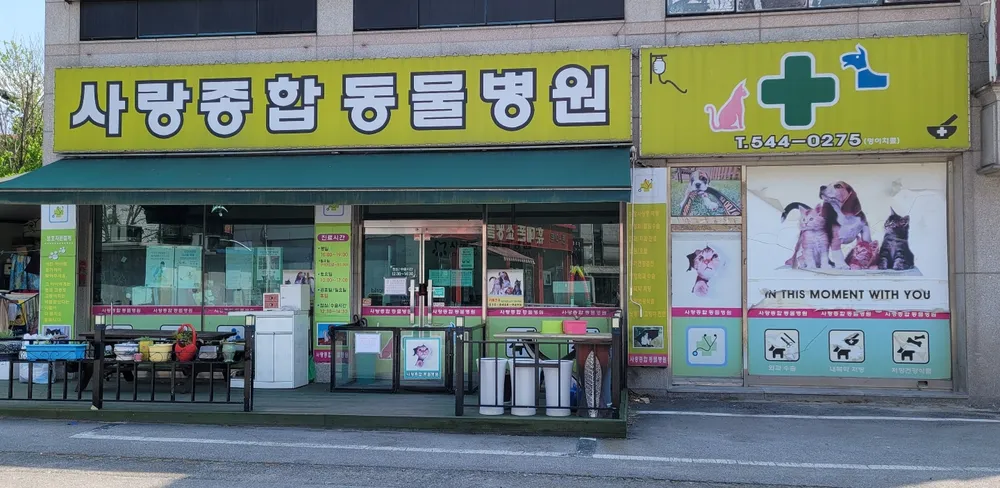 사랑종합동물병원 대표 이미지