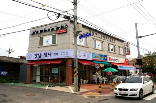 강남애니동물병원 대표 이미지
