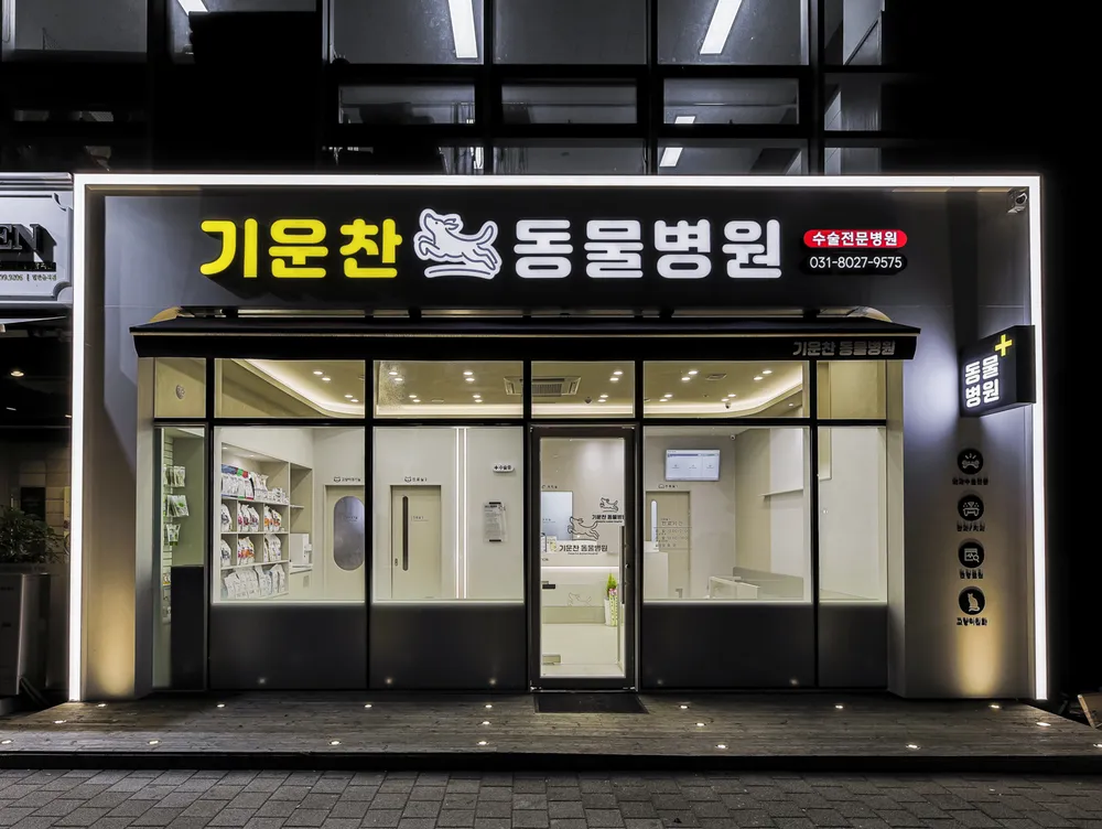 기운찬동물병원 대표 이미지