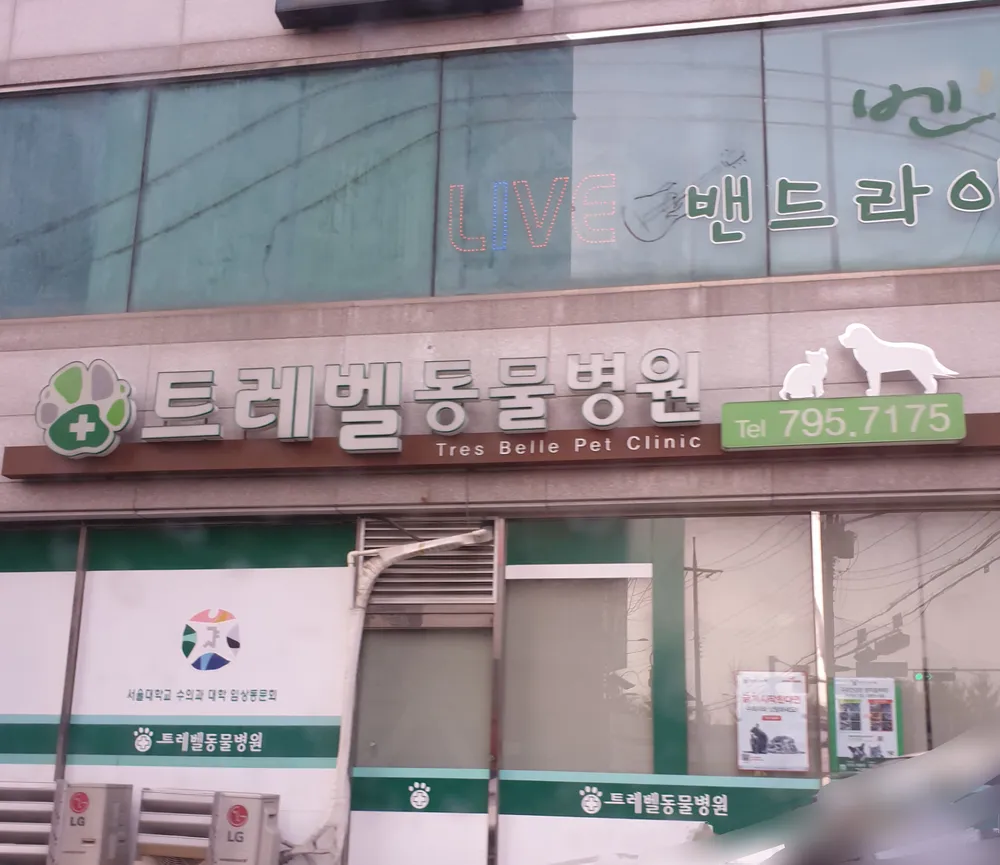 트레벨동물병원 대표 이미지
