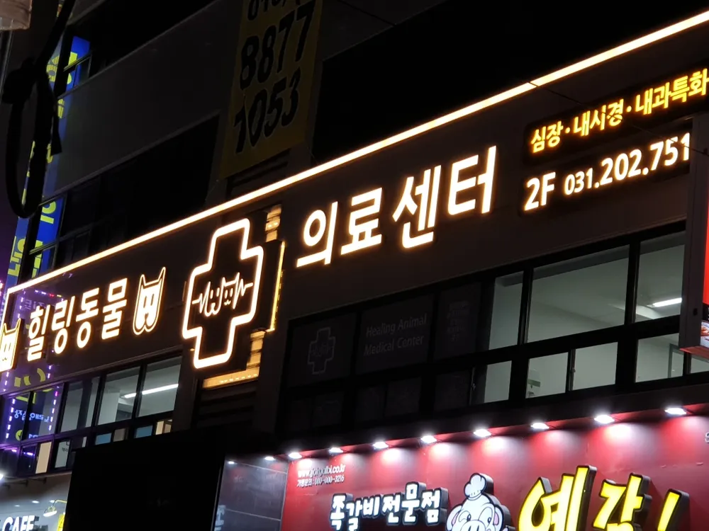 힐링동물의료센터 대표 이미지