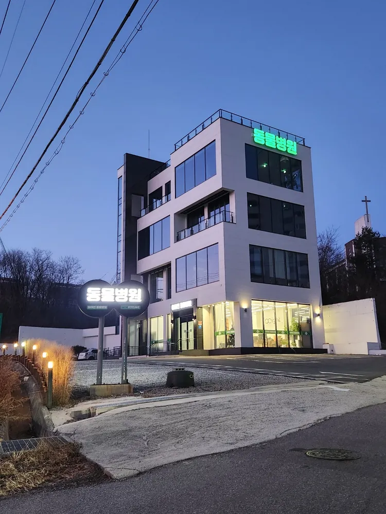 아야진동물병원 대표 이미지