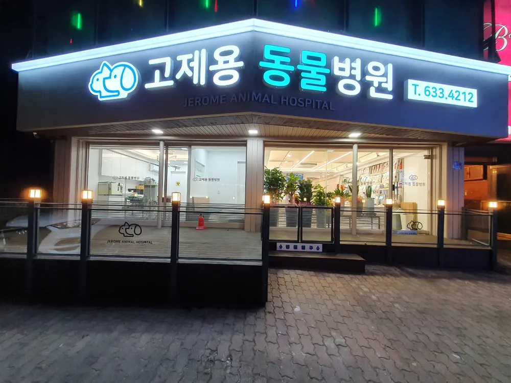 고제용동물병원 대표 이미지