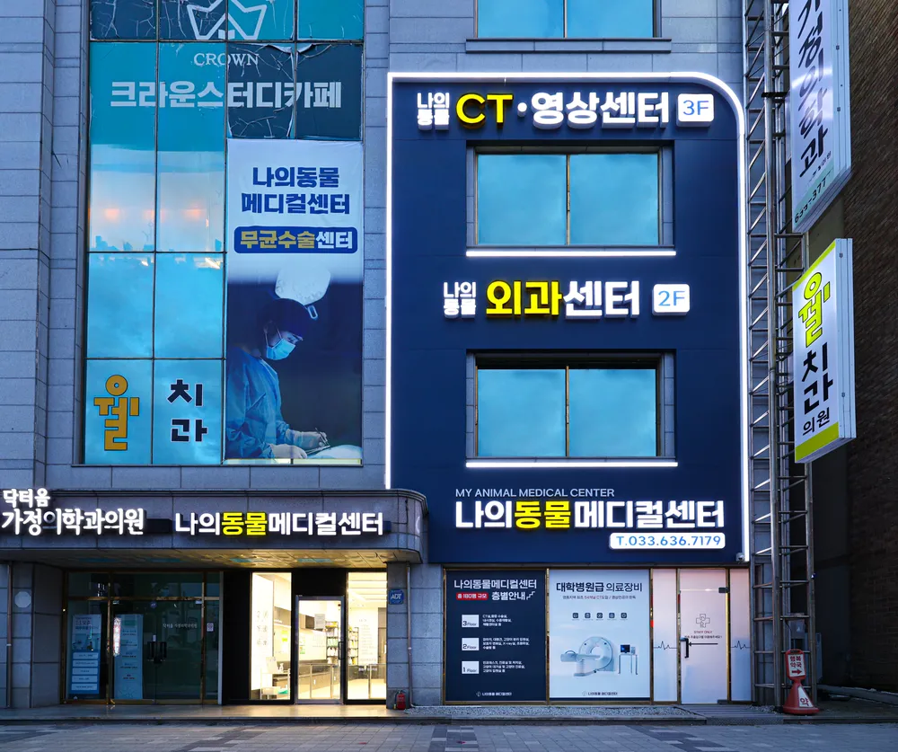 나의동물메디컬센터 대표 이미지