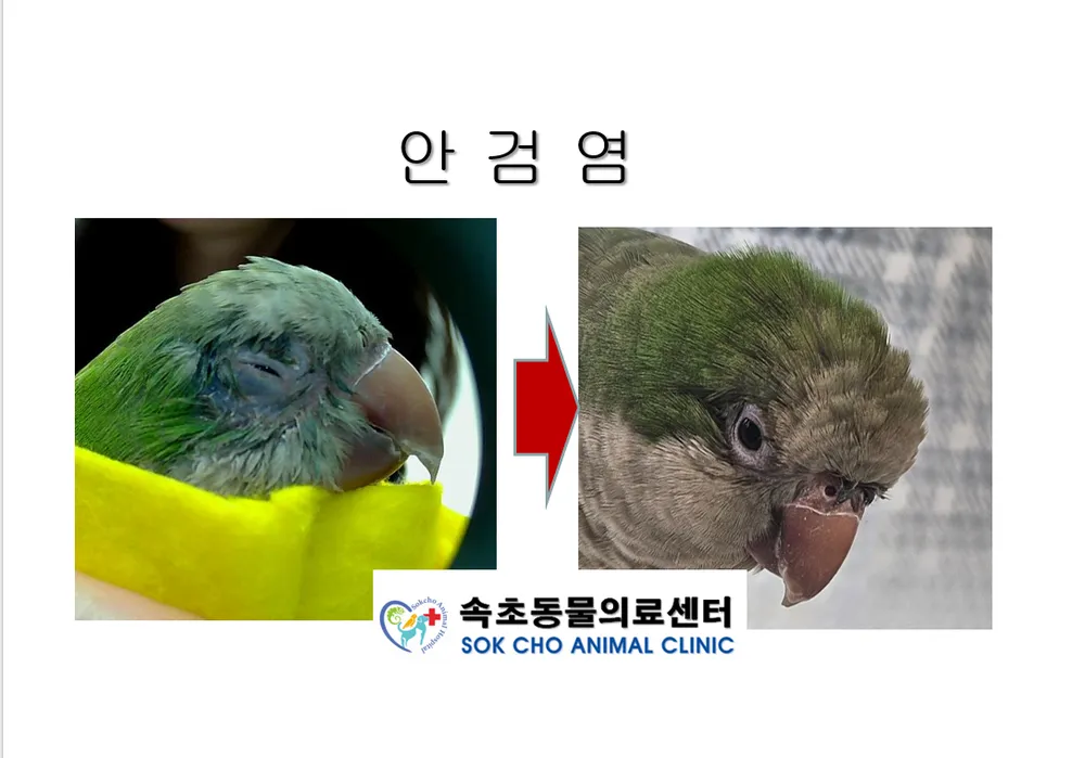 속초동물의료센터 대표 이미지