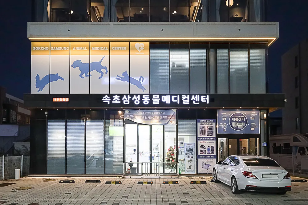속초삼성동물메디컬센터 대표 이미지