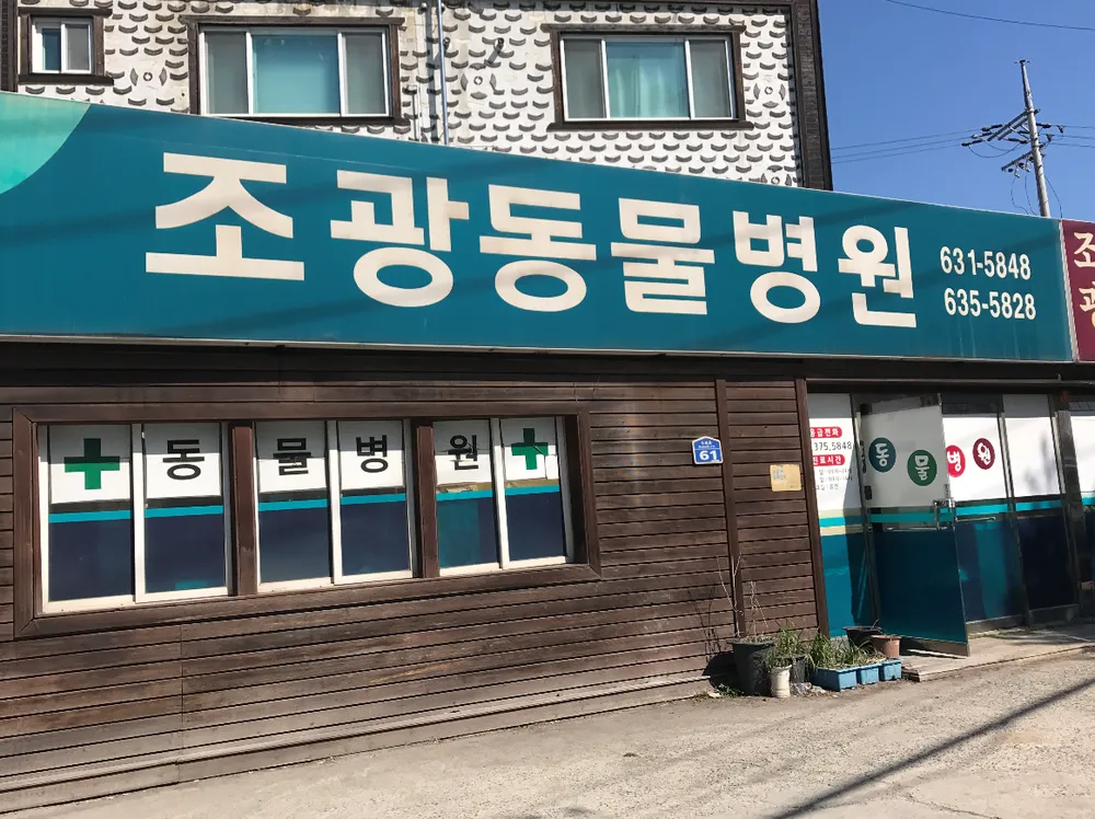 조광동물병원 대표 이미지