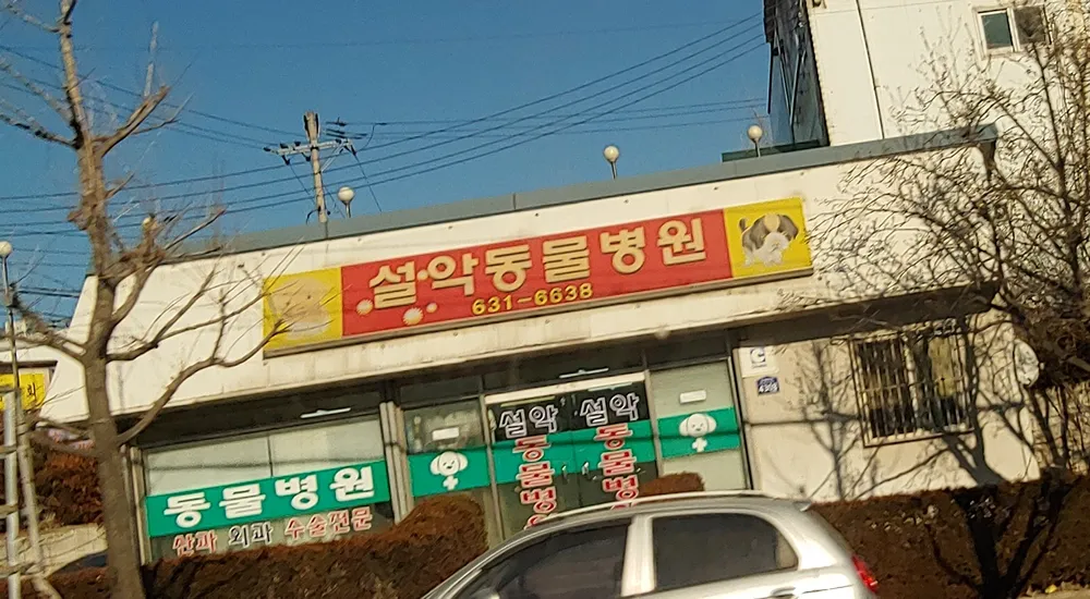 설악동물병원 대표 이미지