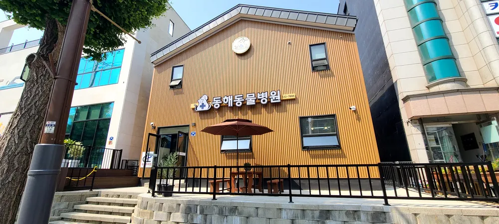 동해동물병원 대표 이미지