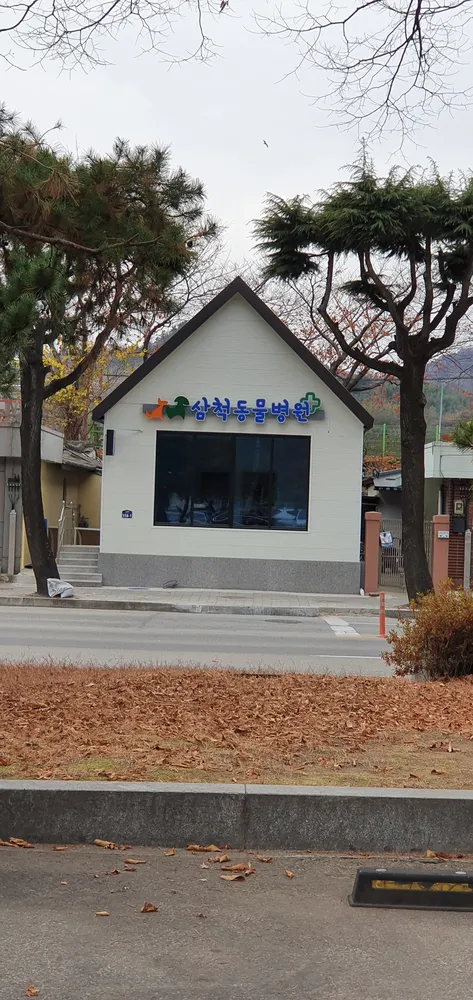 삼척동물병원 대표 이미지