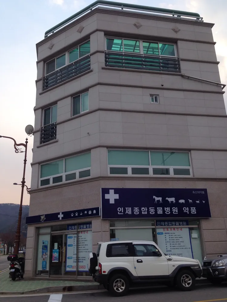 인제종합동물병원 대표 이미지