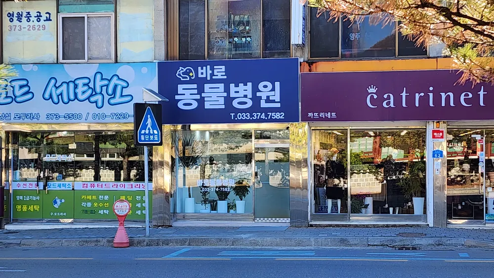 바로동물병원 대표 이미지