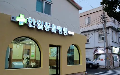 한일동물병원 대표 이미지