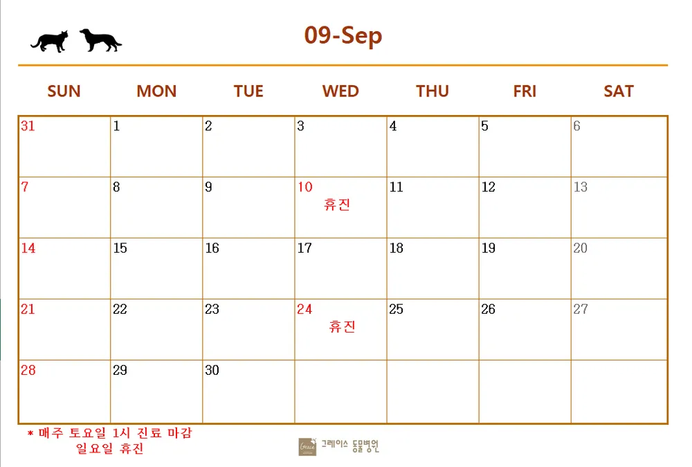 제천그레이스동물병원 대표 이미지