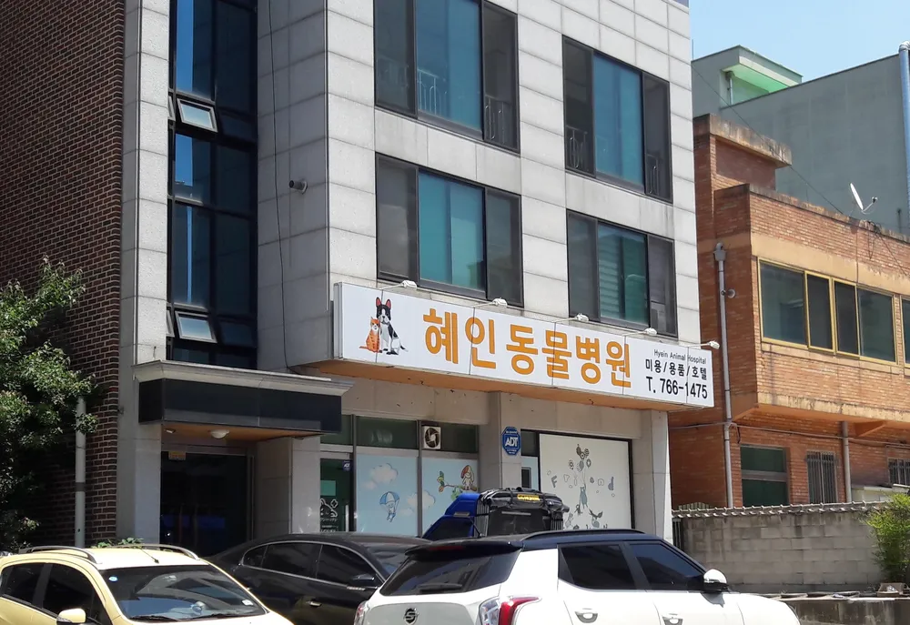 혜인종합동물병원 대표 이미지