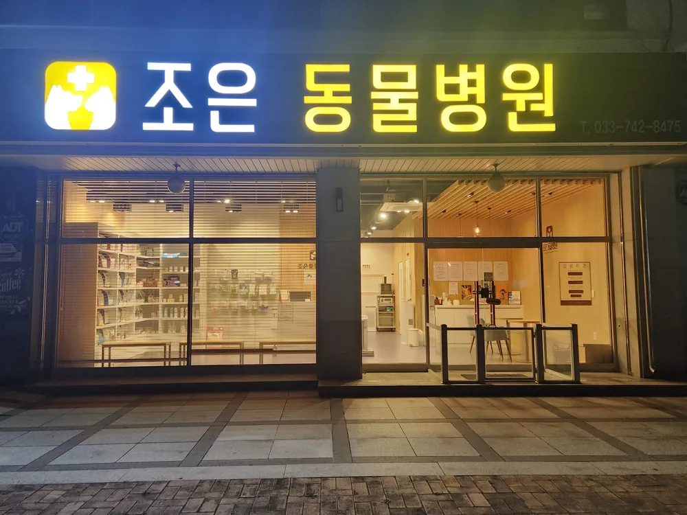 조은동물병원 대표 이미지