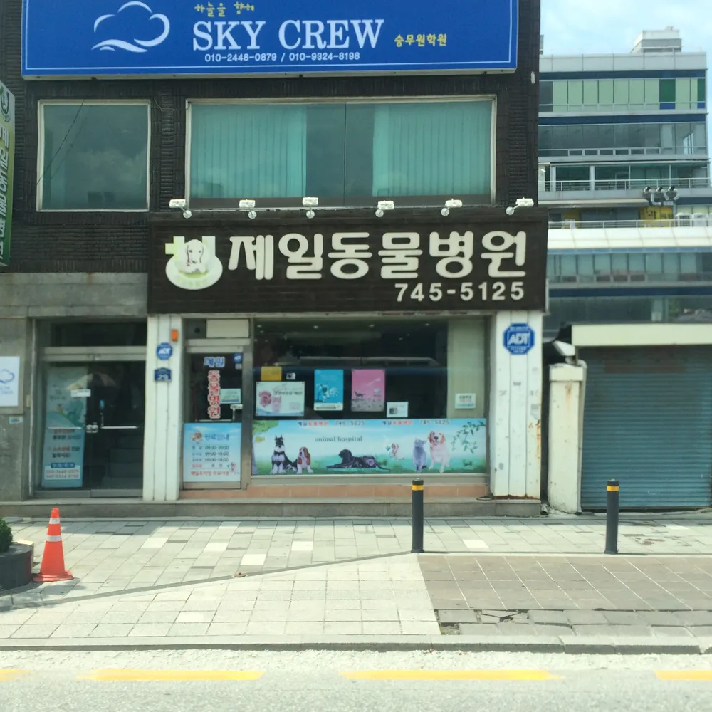 제일동물병원 대표 이미지