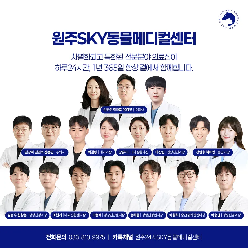 원주24시스카이동물메디컬센터 대표 이미지