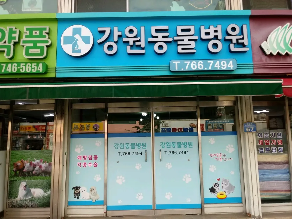 강원동물병원 대표 이미지